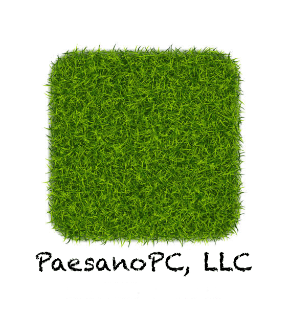 PaesanoPC